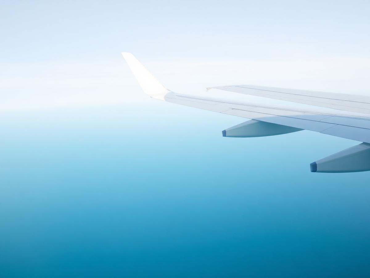 Flights & Travel